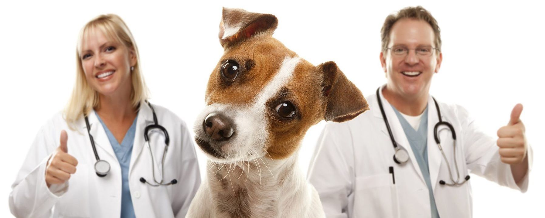 Наши врачи - кандидаты наук