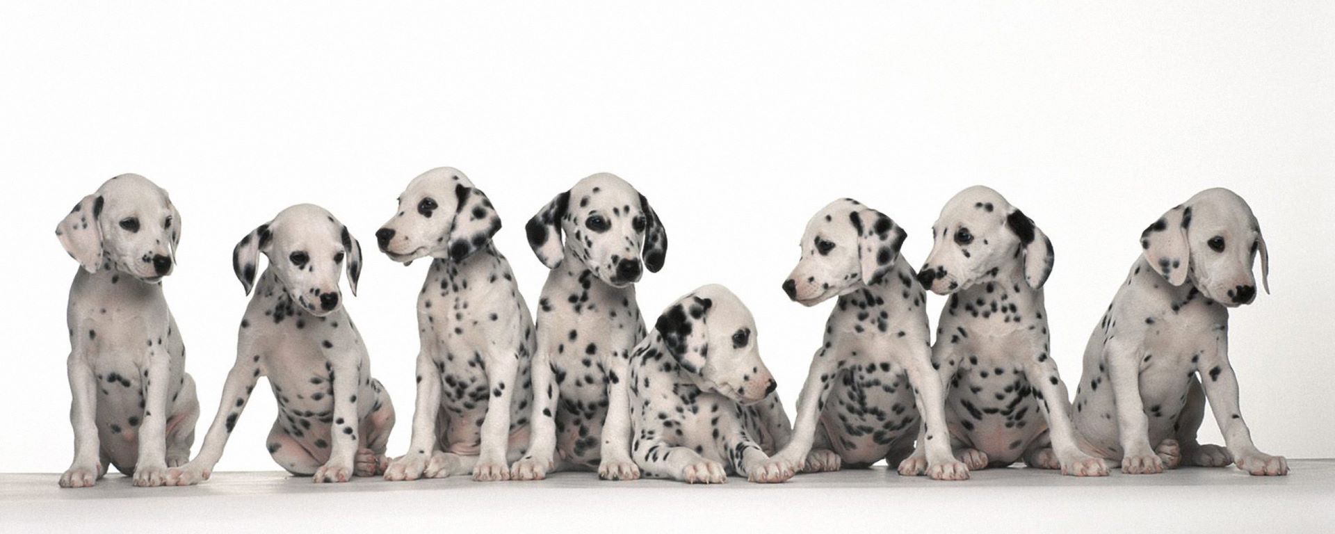 Современное оборудование, индивидуальный подход